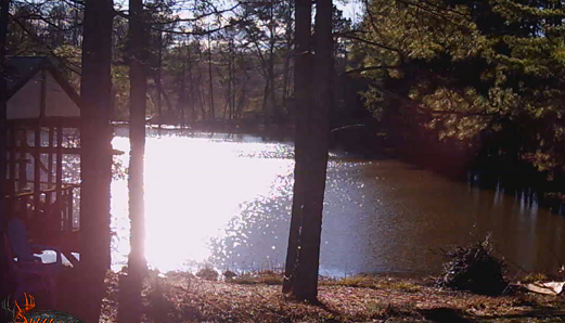 Sun on our pond